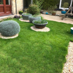 Techniques de taille pour maintenir un jardin esthétique et en bonne santé Charenton-le-Pont